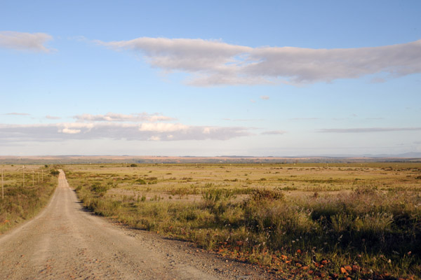 Entrance road of Bontebok National Park