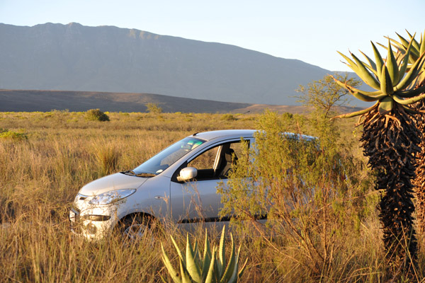 Bontebok National Park