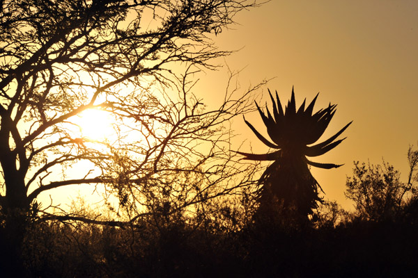 Sunset, Bontebok National Park