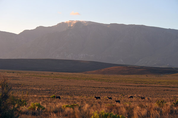 Bontebok National Park