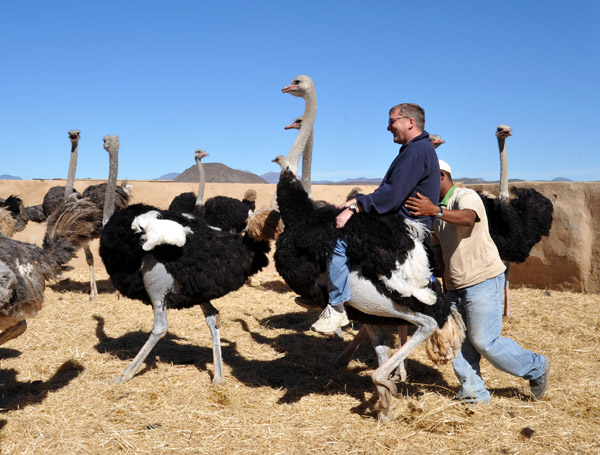 Me riding an ostrich at Highgate