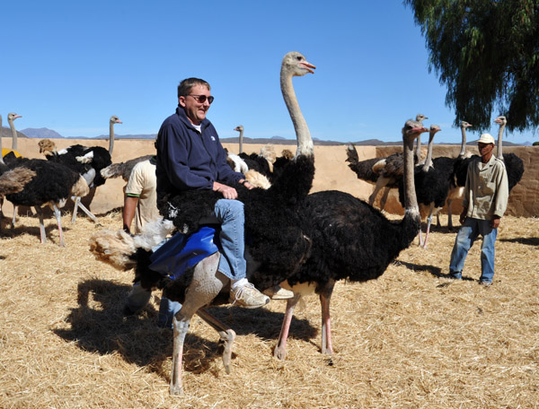 Highgate Show Farm, Oudtshoorn