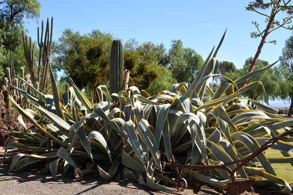 Highgate Show Farm, Oudtshoorn