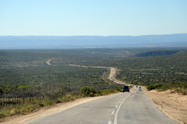 The road from Port Elizabeth to Addo Elephant National Park