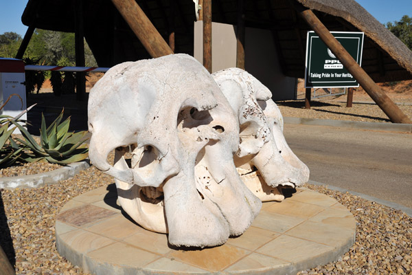 Elephant skulls at the gate to Addo Elephant National Park