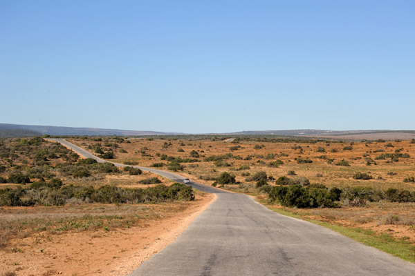 Main road through the Big Game area, Addo Elephant National Park