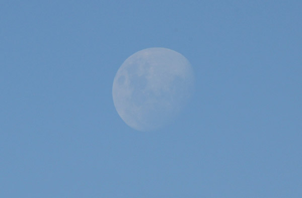 Near-full moon over Addo National Park