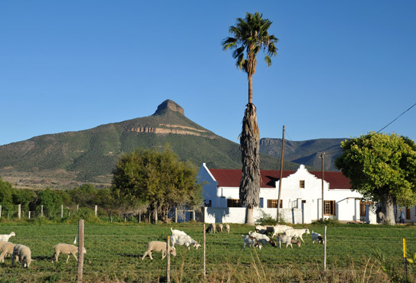 Farm on the outskirts of Graaff-Reinet