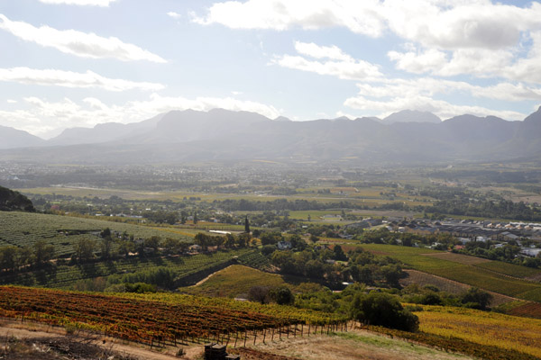 Winelands outside Paarl