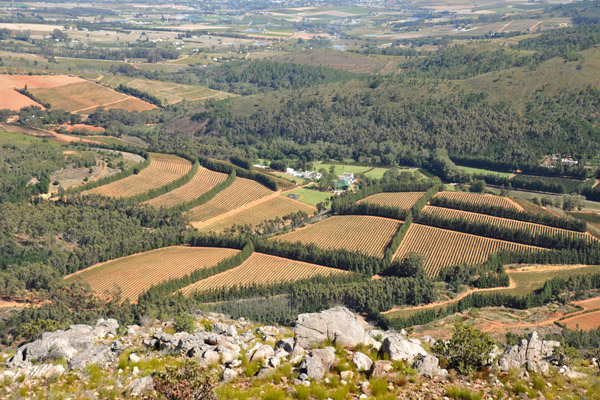 Doolhof Wine Estate