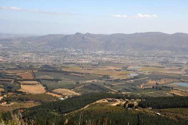 Orchards and vineyards between Du Toitskloof and Paarl