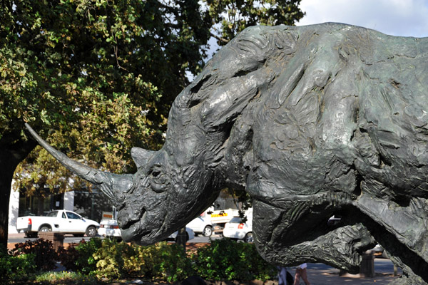 Rhino sculpture, The Braak, Stellenbosch