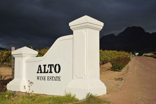 Alto Wine Estate, Stellenbosch Winelands