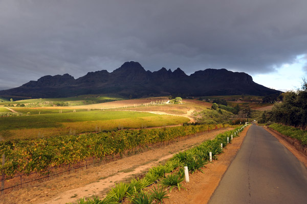 The road to Hidden Valley, Ernie Els, Uva Mira Wineries, Stellenbosch
