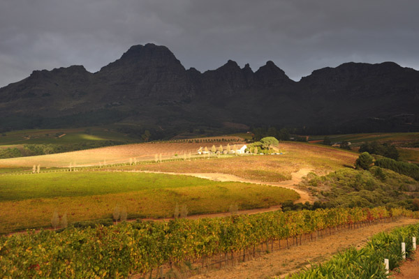 Ernie Els Winery, Stellenbosch