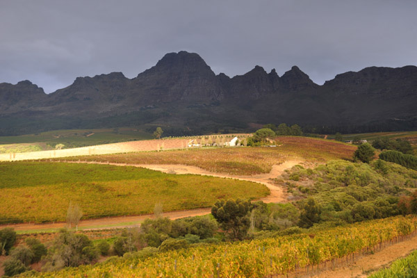 Ernie Els Winery, Stellenbosch