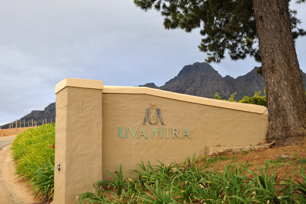 Uva Mira Winery, Stellenbosch