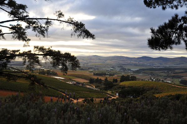 View of the Cape Winelands south of Stellenbosch from Uva Mira