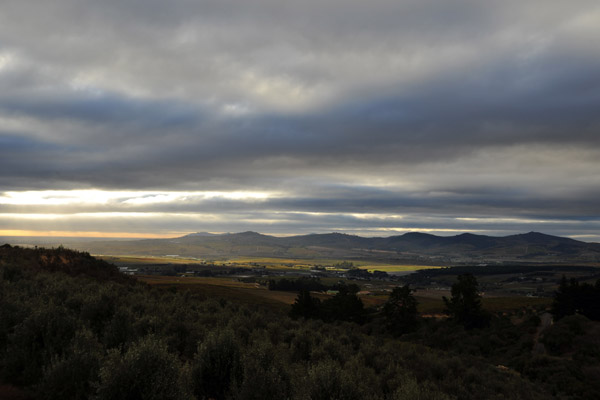 View from the terrace of Hidden Valley Winery's restaurant