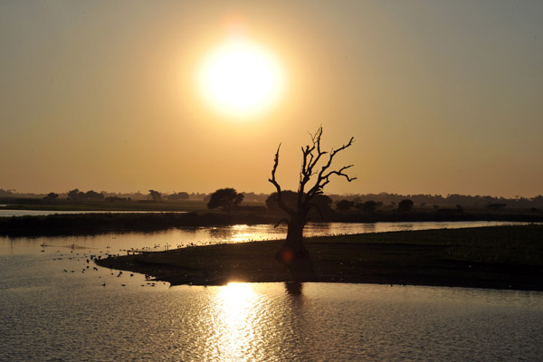 Lake Taungthaman at sunset with tree, Amarapura