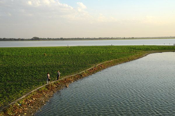 Fertile fields on the dry-season island in the middle of Lake Taungthaman