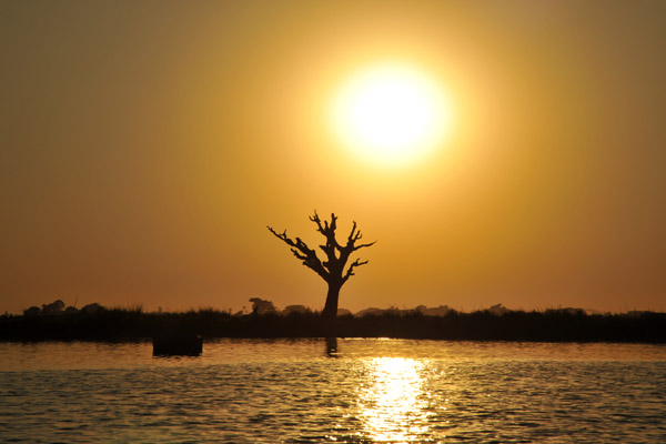 Sunset with tree, Lake Taungthaman, Amarapura