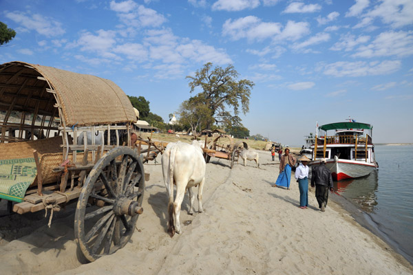Bullock cart on the banks of the Irrawaddy River, Mingun