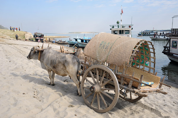 Bullock cart on the banks of the Irrawaddy River, Mingun