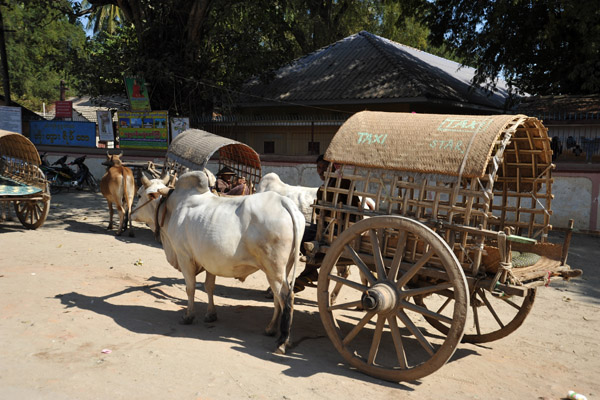 Bullock Cart, Mingun