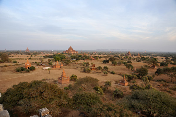 View from Shwesandaw Paya  - Bagan
