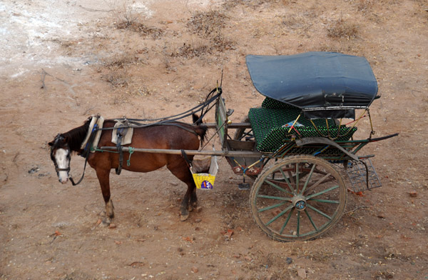 Horse buggy, Bagan transport