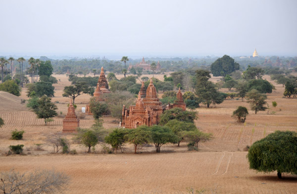 Plowed fields around the temples of Bagan