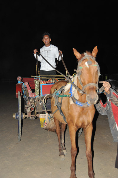 Dennis driving the horse cart, Old Bagan