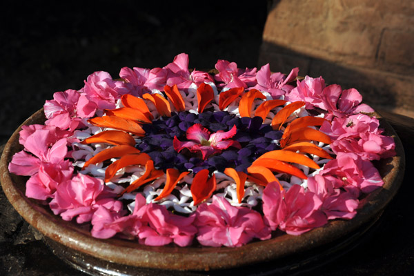 Flower arrangement, Hotel @ Tharabar Gate, Old Bagan