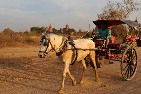 Popular transport around Bagan - horse carriage