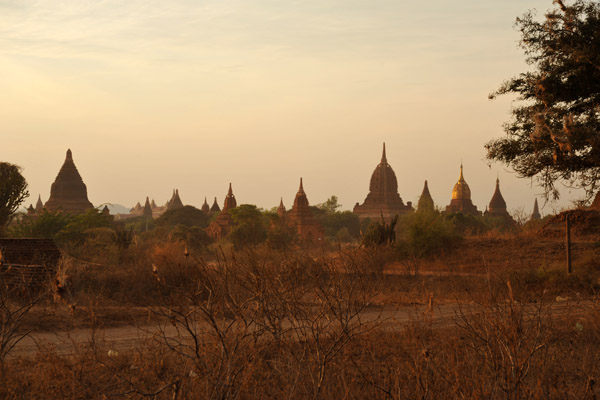 Central Plain of Bagan studded with stupas
