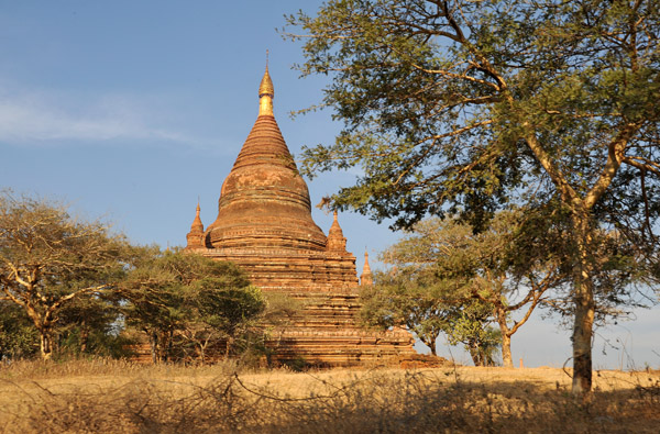 Soemingyi Pagoda, 12th Century, Monument Number 1145