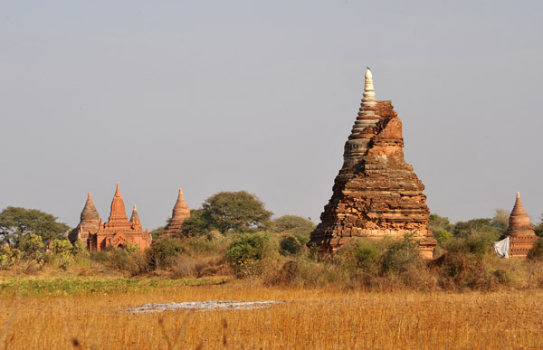 Bagan 1095.jpg