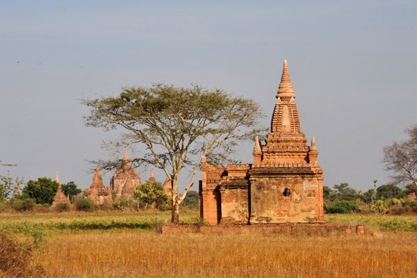 Bagan 1096.jpg