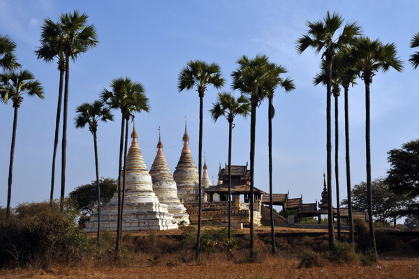 A row of white stupas (zedi) just to the northeast of Ananda Phaya
