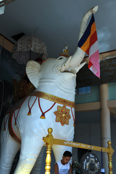 White elephant with Buddhist flag