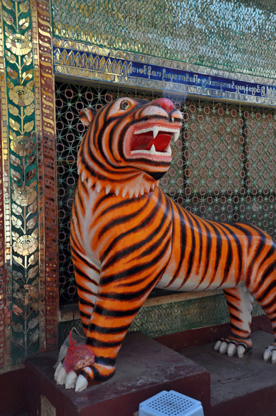 Tiger at Mahagiri Shrine, Mt. Popa