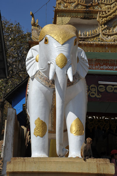 White elephant, Mt. Popa Village