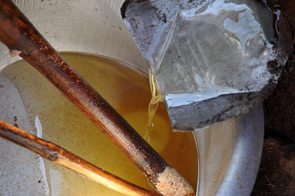 The extracted oil is used to make palm liquor (arak) and a sweet candy