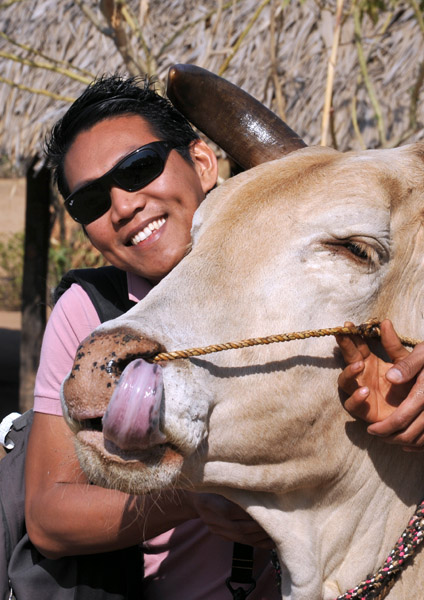 Dennis hugging a bull