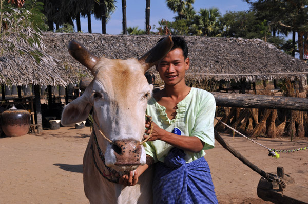 Burmese palm liquor maker