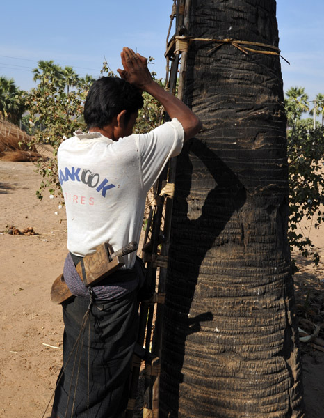 A short prayer before climbing the palm