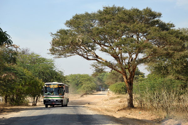 The road between Bagan and Mt. Popa, around 45 km