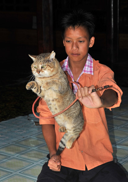 Jumping Cat Monastery