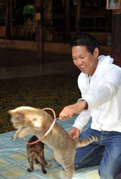 Jumping Cat Monastery